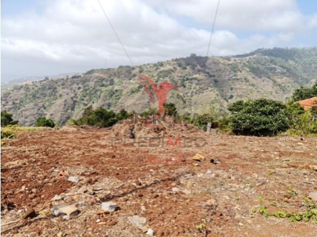 Terreno em Ribeira Brava