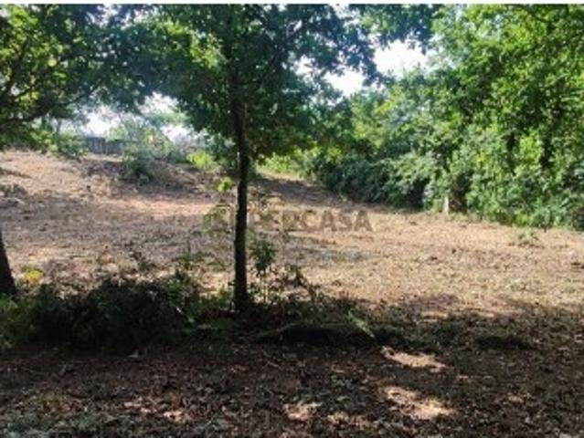 Terreno em Romarigães