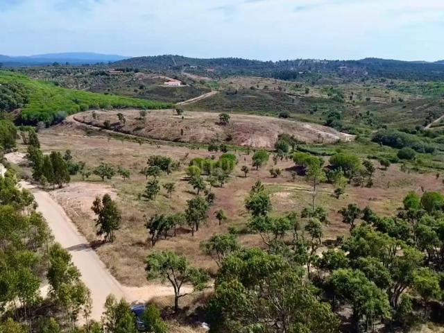 Terreno em São Teotónio com 77.000 m2 e possibilidade de projecto turístico!