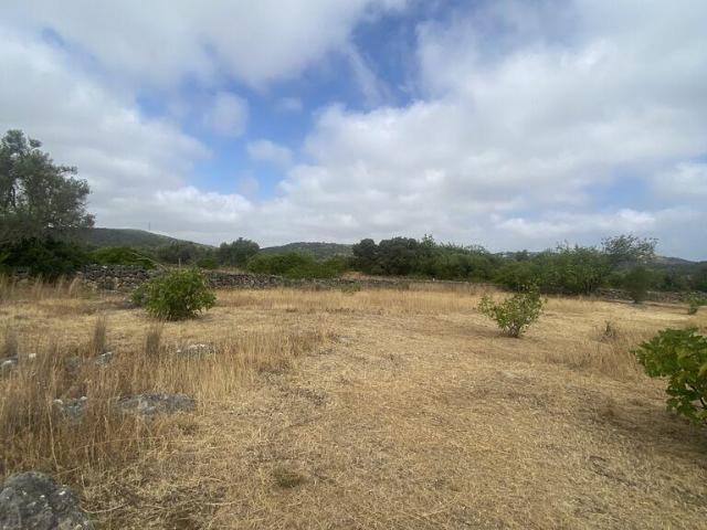 Terreno em Santa Catarina da Fonte do Bispo de 10000,00 m²
