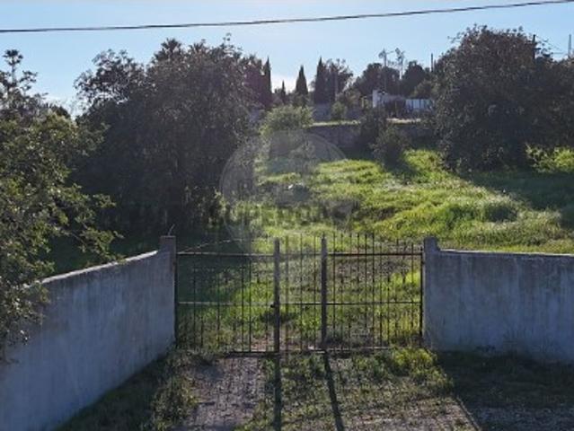 Terreno em São Clemente
