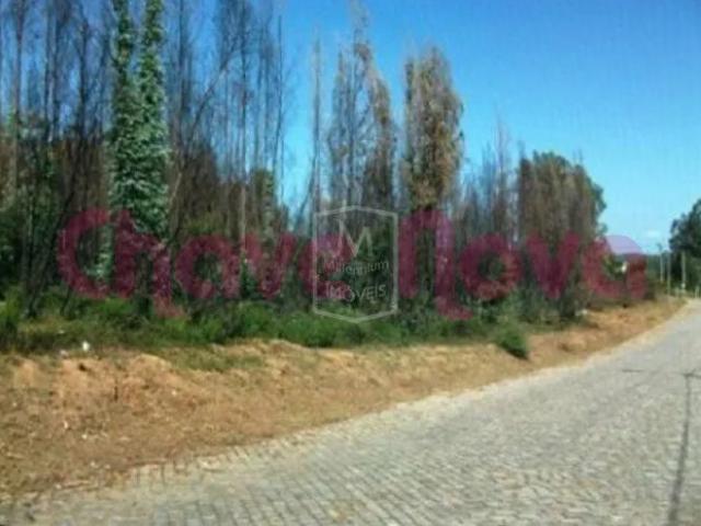Terreno em São Felix da Marinha