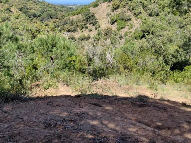 Terreno em São Francisco da Serra
