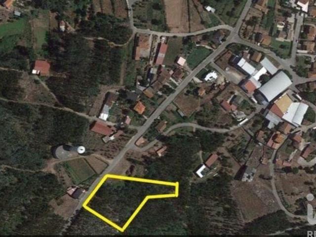 Terreno em São Joaninho