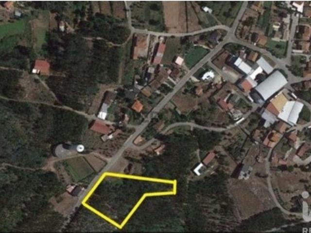 Terreno em São Joaninho