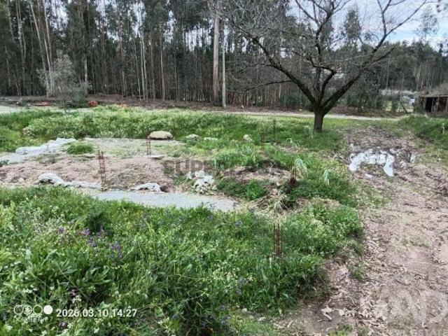 Terreno em São Joaninho