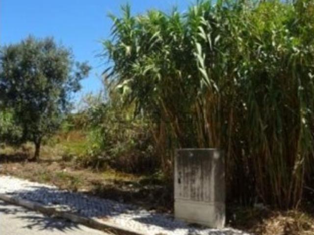 Terreno em São Julião da Figueira da Foz