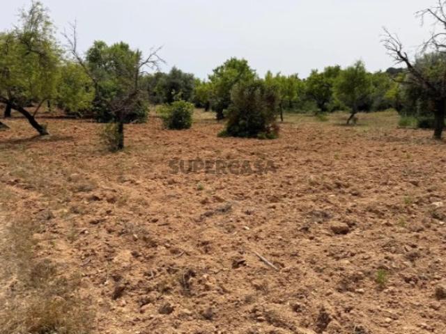 Terreno em São Sebastião