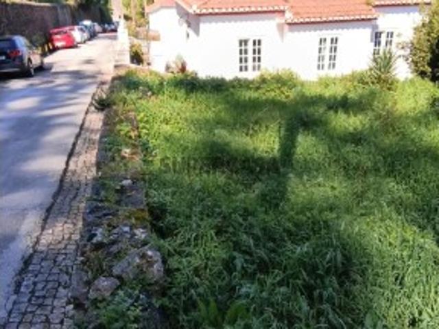 Terreno em S.Maria e S.Miguel, S.Martinho, S.Pedro Penaferrim