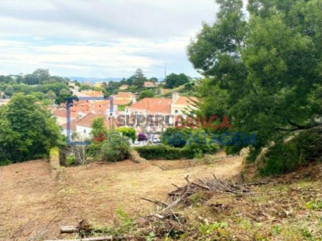 Terreno em S.Maria e S.Miguel, S.Martinho, S.Pedro Penaferrim