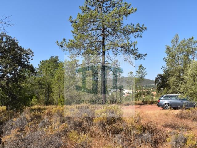 Terreno em Salir, Curuja, Loulé, com Azinheiras e Figueira