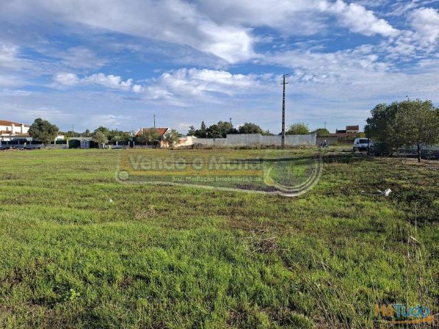 Terreno em Salvaterra de Magos Escaroupim S546 | 26084061617