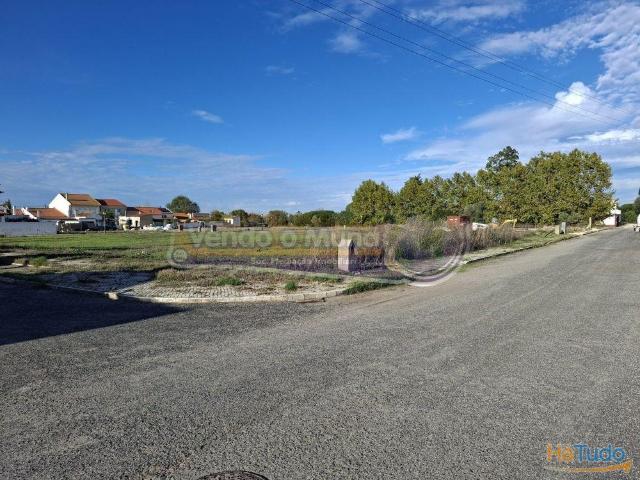 Terreno em Salvaterra de Magos Escaroupim S550 | 26084061621
