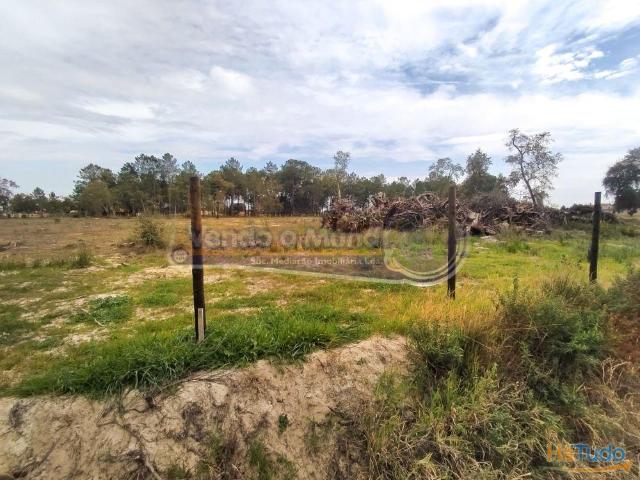Terreno em Salvaterra de Magos S394 | 26083992279