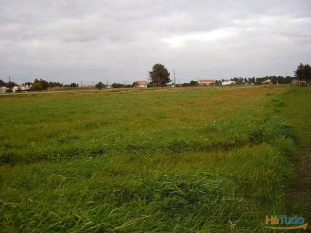 Terreno em Salvaterra de Magos S302 | 26083251885