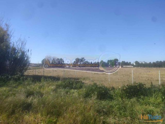 Terreno em Salvaterra de Magos S563 | 26084068804