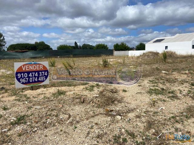 Terreno em Salvaterra de Magos S582 | 26084089715