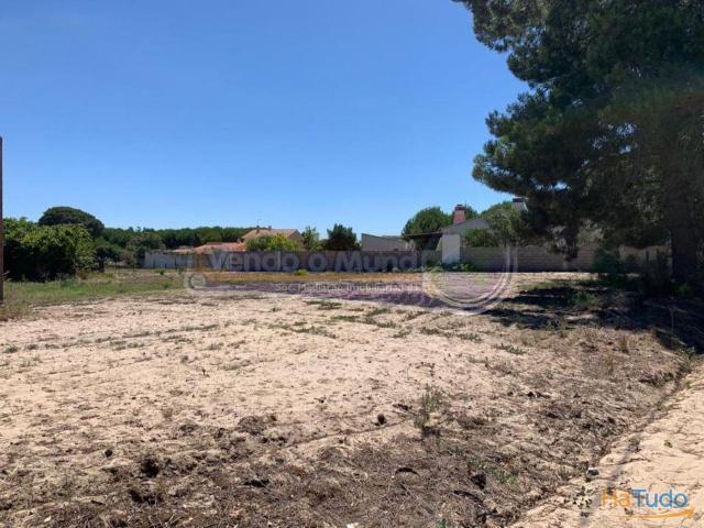 Terreno em Salvaterra de Magos S500 | 26083919015