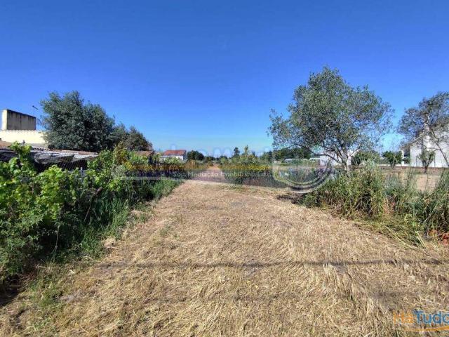 Terreno em Salvaterra de Magos S523 | 26063968946