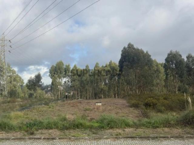 Terreno em Sanguedo