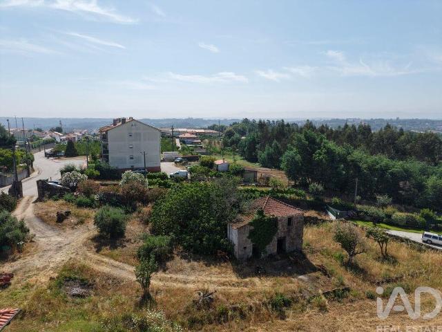Terreno em Santa Comba Dão e Couto do Mosteiro