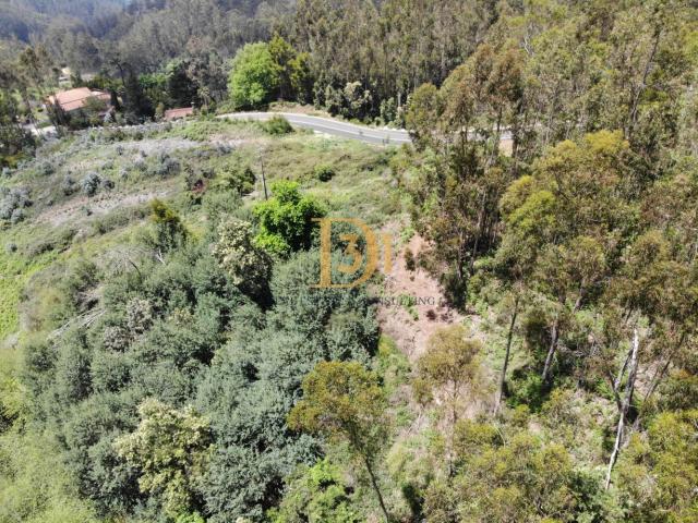 Terreno em Santa Cruz