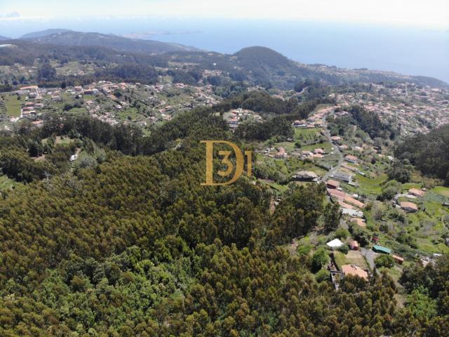 Terreno em Santa Cruz