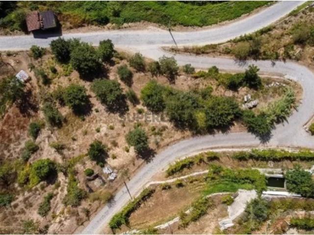 Terreno em Santa Leocádia e Mesquinhata