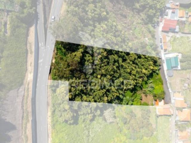 Terreno em Santo António