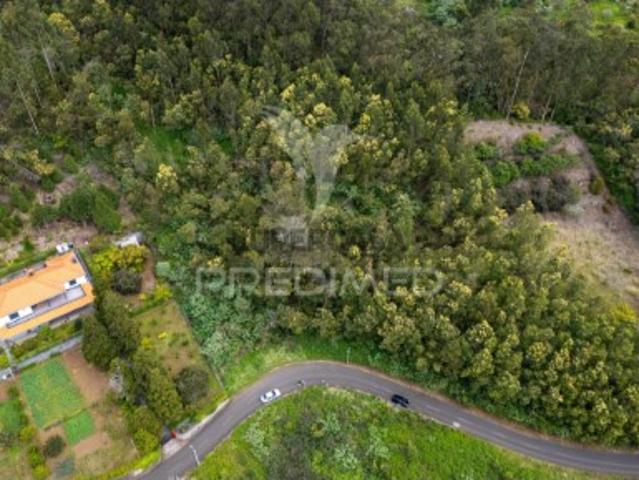 Terreno em Santo António da Serra