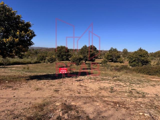 Terreno em Sarzeda, Sernancelhe