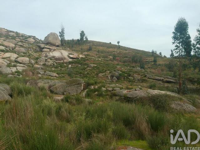 Terreno em Seixo da Beira de 16000,00 m²