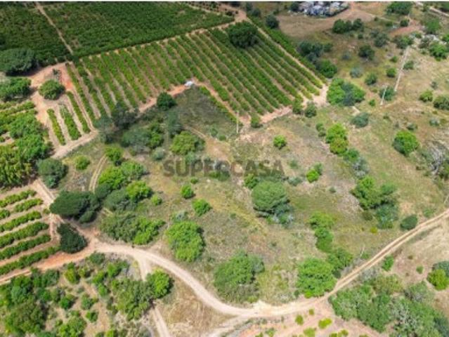 Terreno em Silves