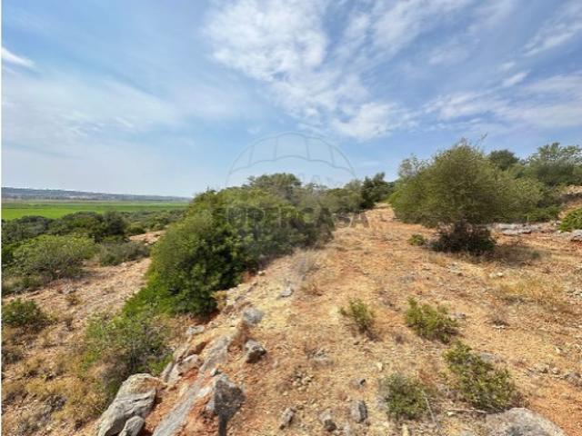 Terreno em Silves