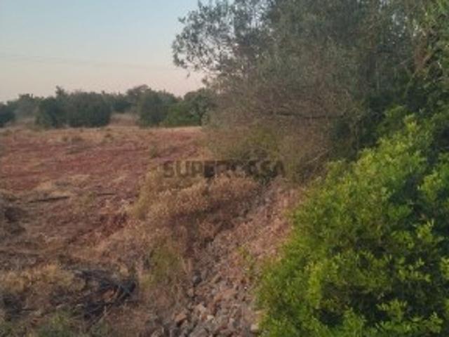 Terreno em Silves