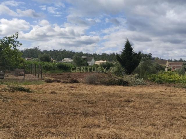 Terreno em Simões, Soure