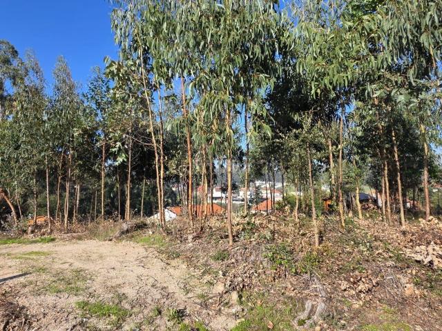 Terreno em Soure, Coimbra Oportunidade Única de Construção