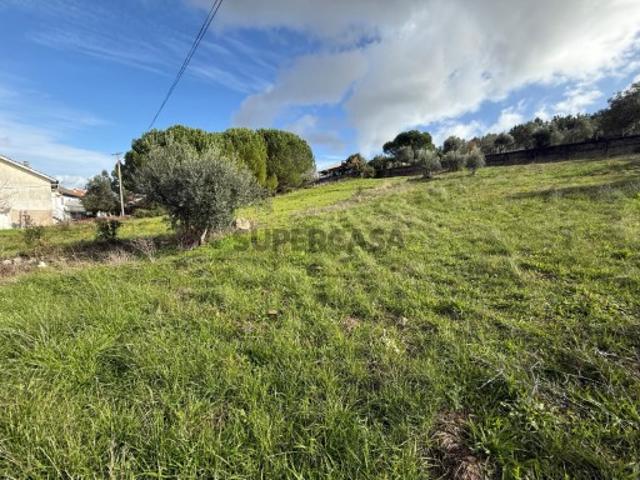 Terreno em Soutocico Leiria