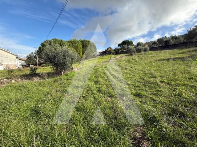 Terreno em Soutocico Leiria
