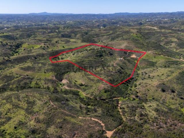 Champana: Onde a Exclusividade e a Natureza se Encontram em Tavira