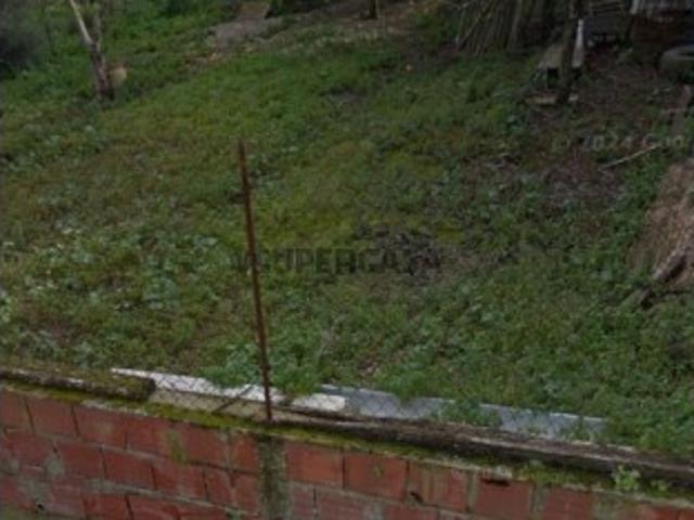 Terreno em Torrão