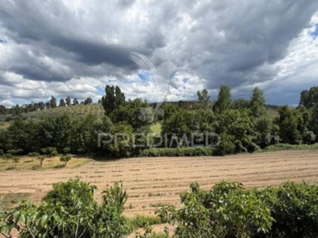 Terreno em Torre de Dona Chama