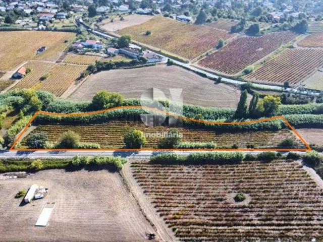 Terreno em Torres vedras