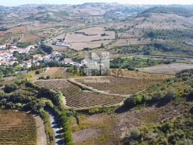 Terreno em Torres vedras