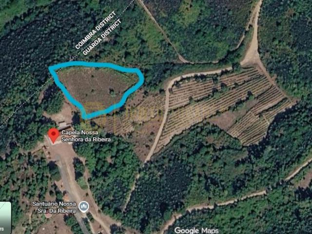 Terreno em Torrozelo e Folhadosa