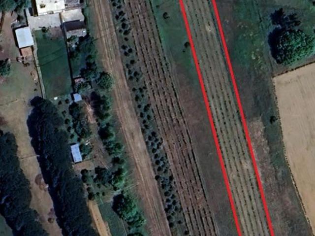 Terreno em Troviscal Vale da Marinha