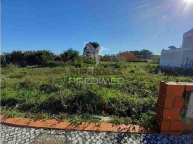 Terreno em Vagos
