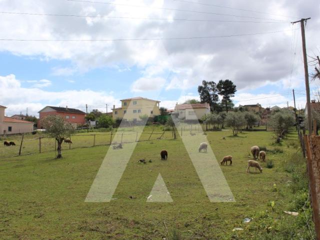 Terreno em Vale do Horto