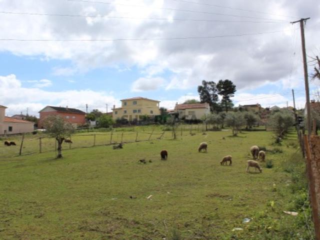 Terreno em Vale do Horto