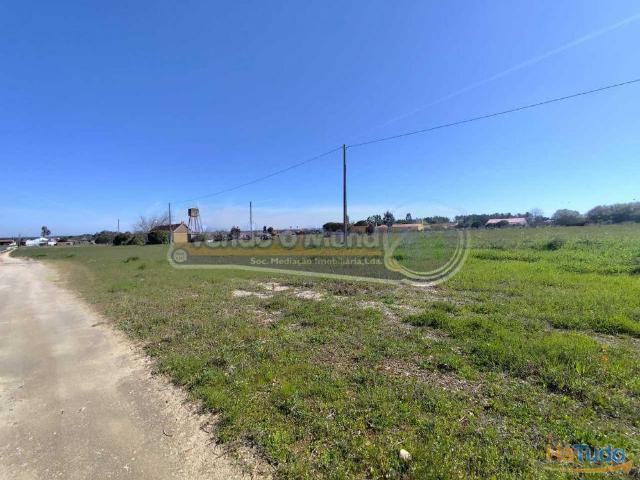Terreno em Várzea Fresca Foros de Salvaterra F833 | 26084074512